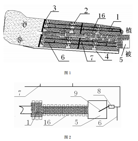 沙漠化土壤治理方法治理示意图
